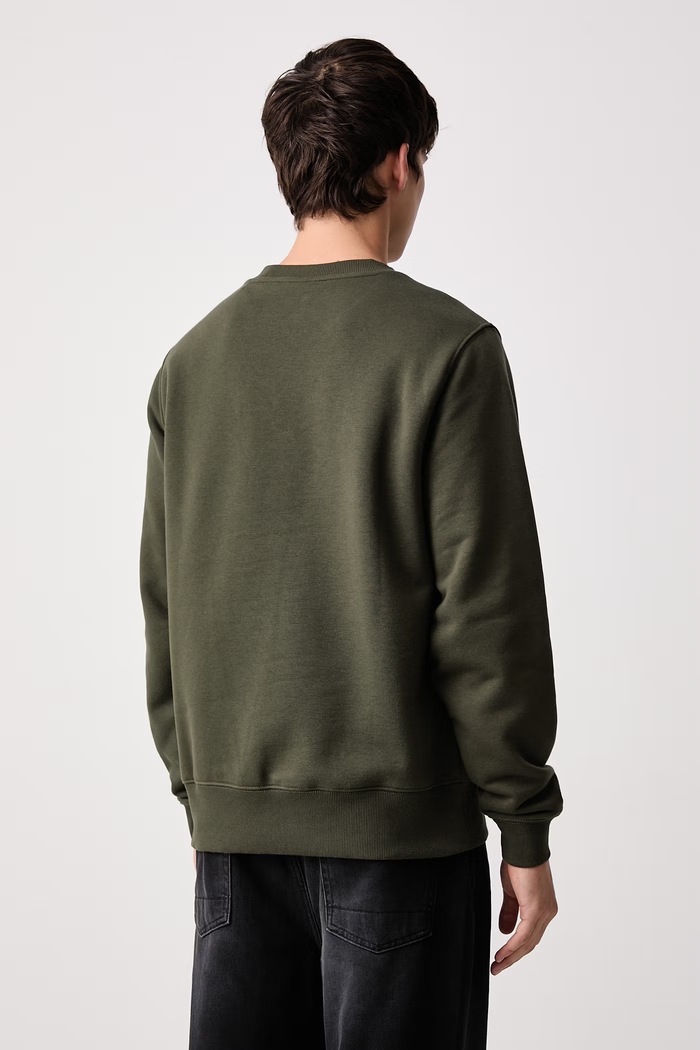 Odzież Dickies Bluza męska z bawełną DK0A4XCEL951 zielony