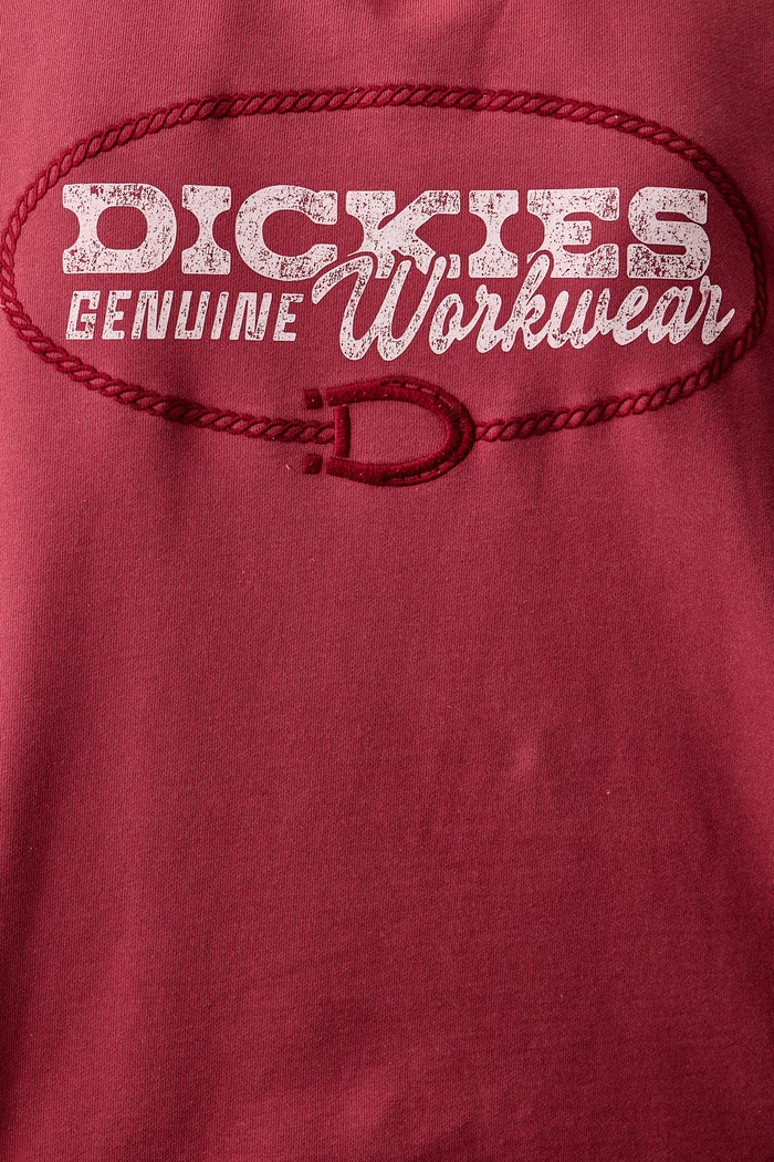 Dickies Bluza z kapturem męska z bawełną DK0A8CHXL811