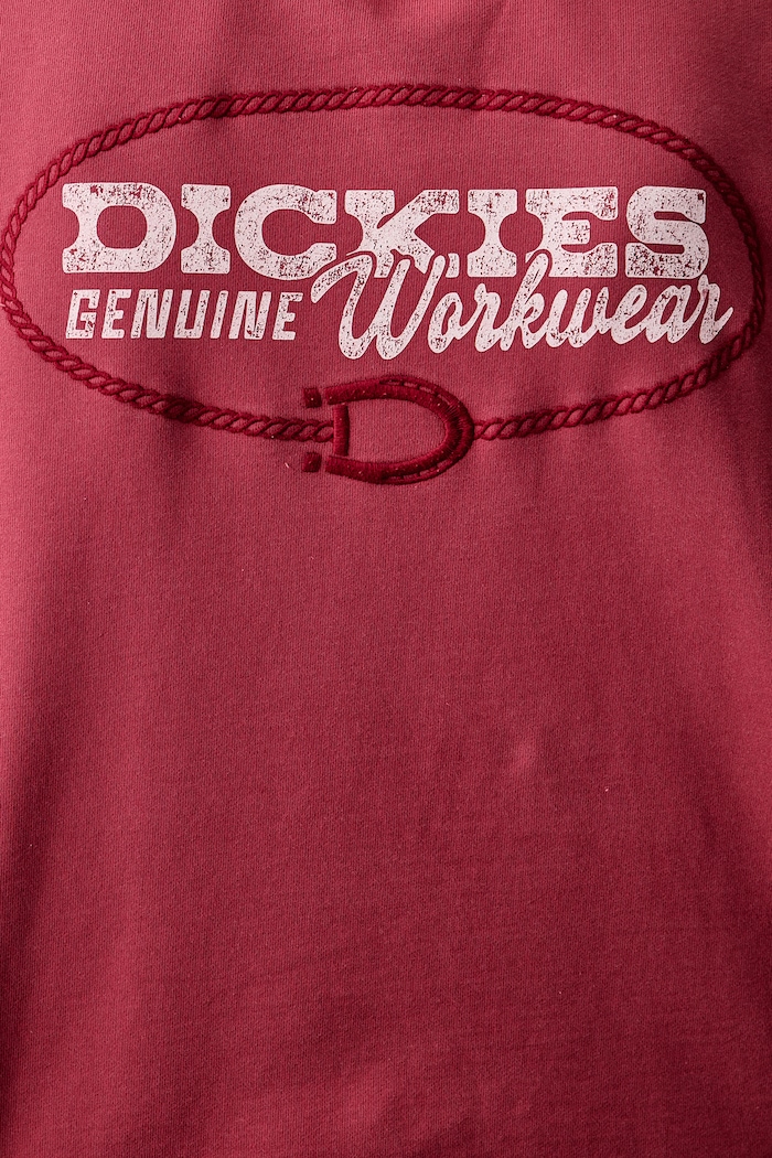 Dickies Bluza z kapturem męska z bawełną DK0A8CHXL811