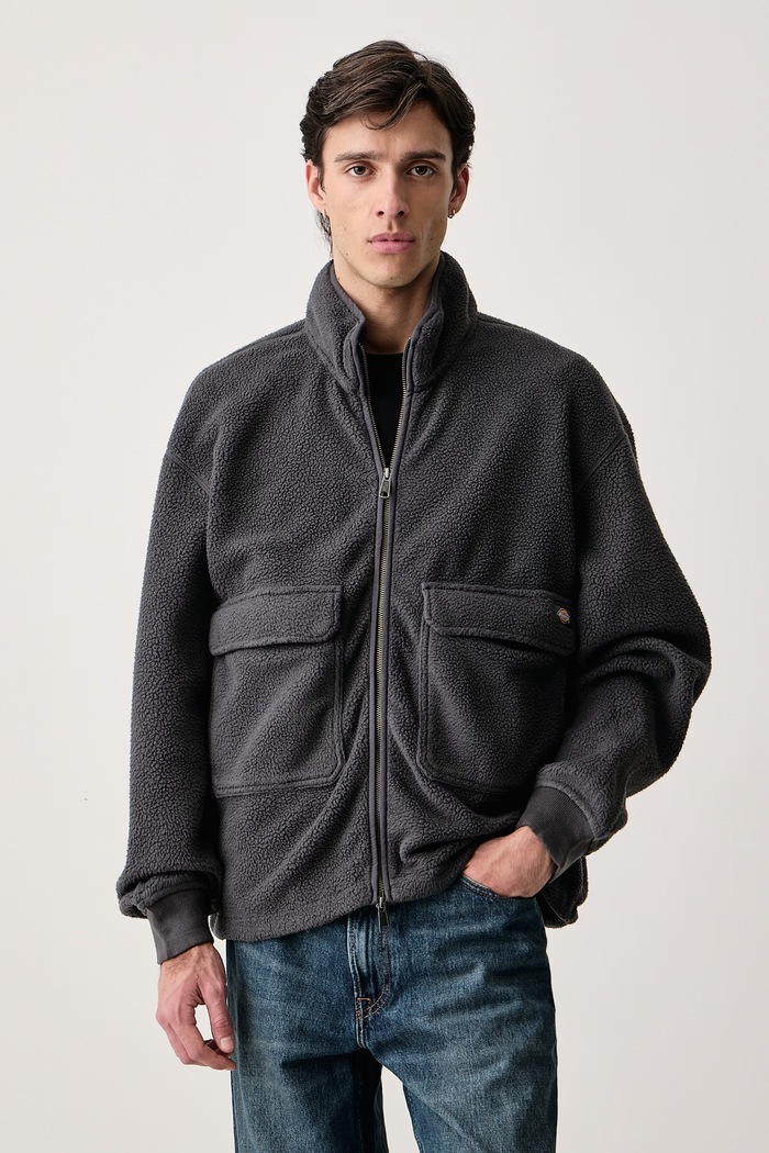 Dickies Bluza męska polarowa szary DK0A8D380CH1