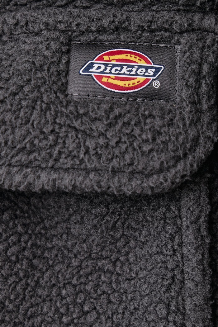 Bluza męska polarowa Dickies szary DK0A8D380CH1