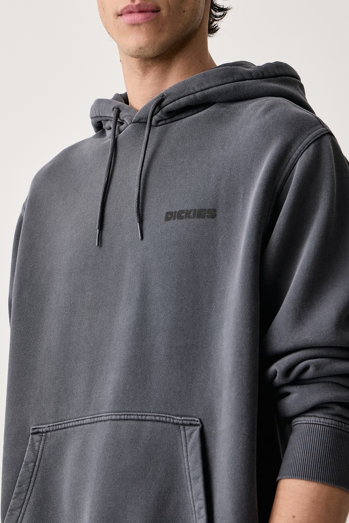 Bluza z kapturem męska z bawełną Dickies DK0A8CHW0CH1 szary