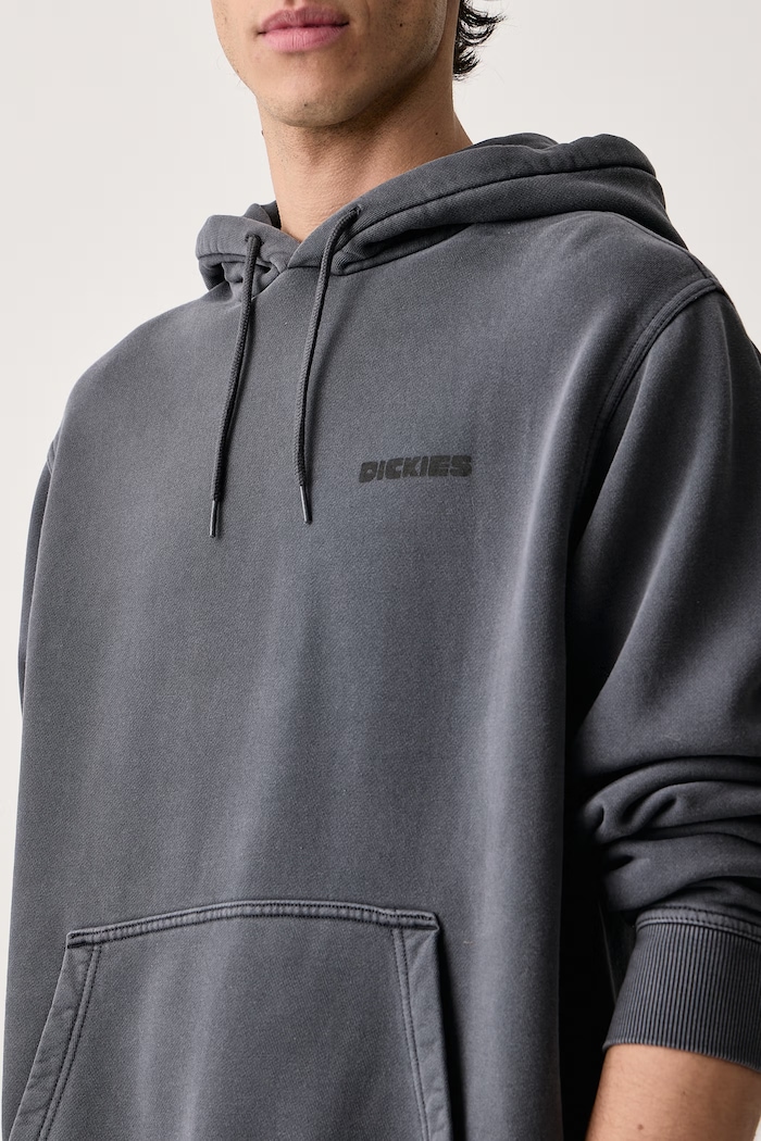 Bluza z kapturem męska z bawełną Dickies DK0A8CHW0CH1 szary