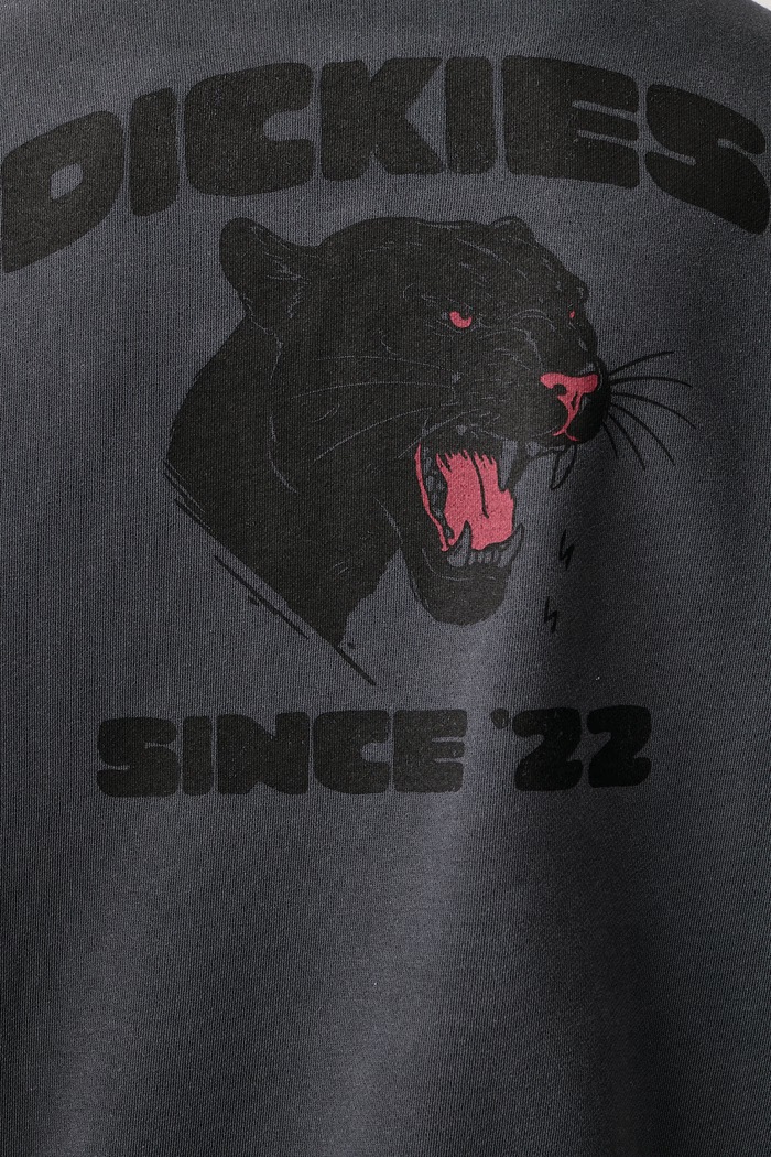 Bluza z kapturem męska z bawełną Dickies szary DK0A8CHW0CH1