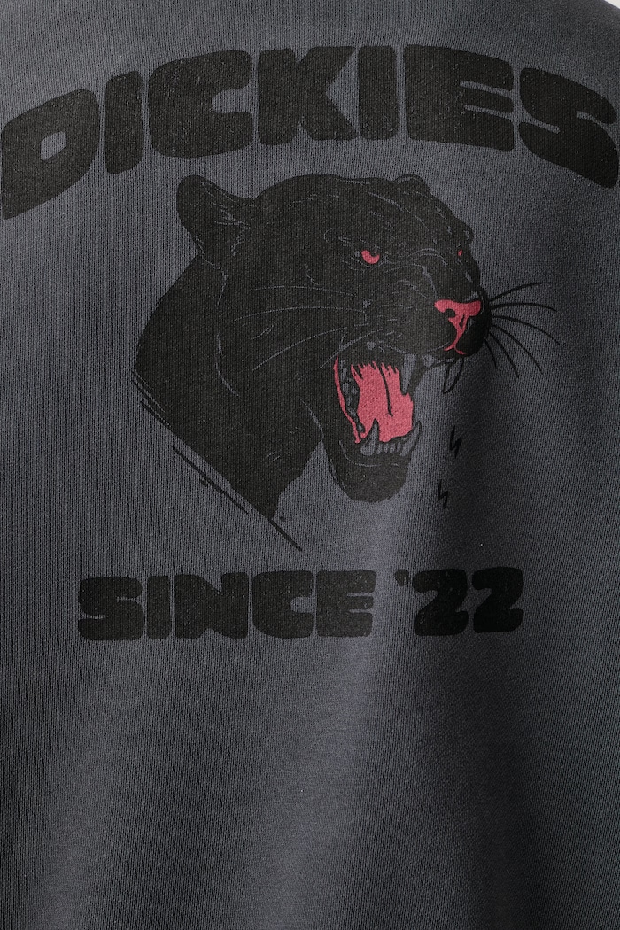 Bluza z kapturem męska z bawełną Dickies szary DK0A8CHW0CH1