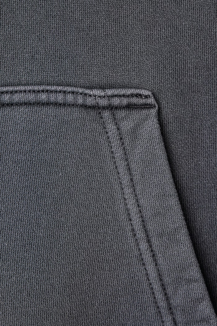 Dickies Bluza z kapturem męska z bawełną DK0A8CHW0CH1