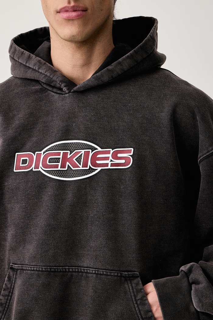 Bluza z kapturem męska z bawełną Dickies DK0A8E4ZBLK1 szary