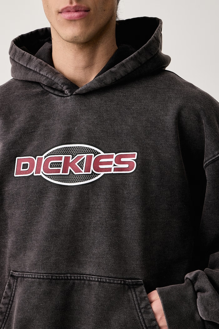 Bluza z kapturem męska z bawełną Dickies DK0A8E4ZBLK1 szary