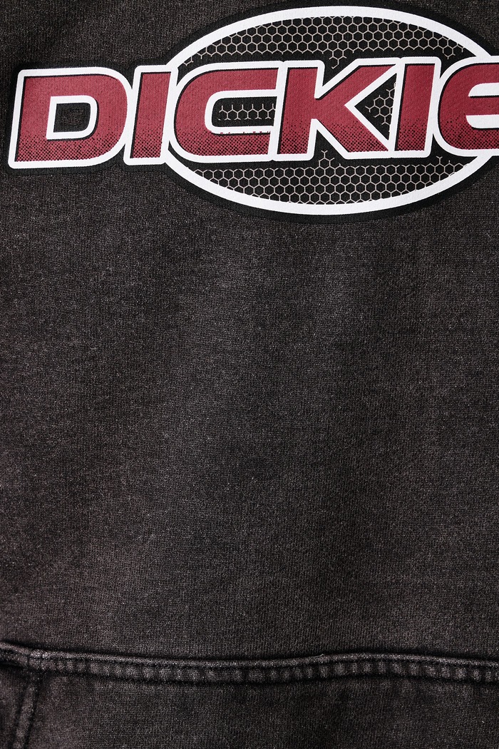 Bluza z kapturem męska z bawełną Dickies szary DK0A8E4ZBLK1