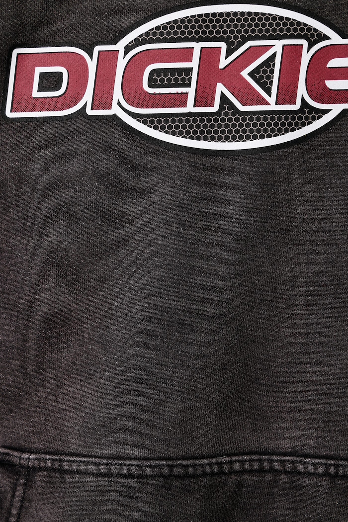 Bluza z kapturem męska z bawełną Dickies szary DK0A8E4ZBLK1