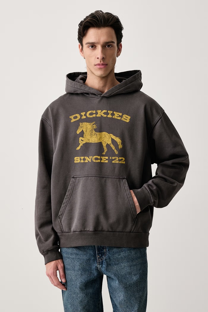 Dickies Bluza z kapturem męska z bawełną szary DK0A8CHYBLK1