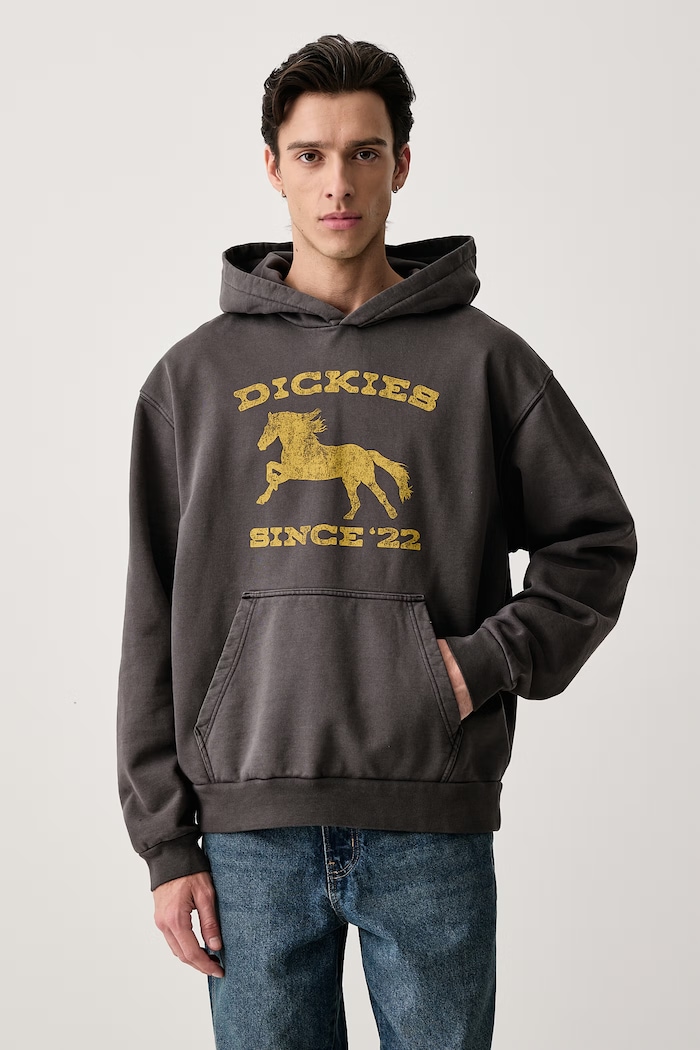 Dickies Bluza z kapturem męska z bawełną szary DK0A8CHYBLK1