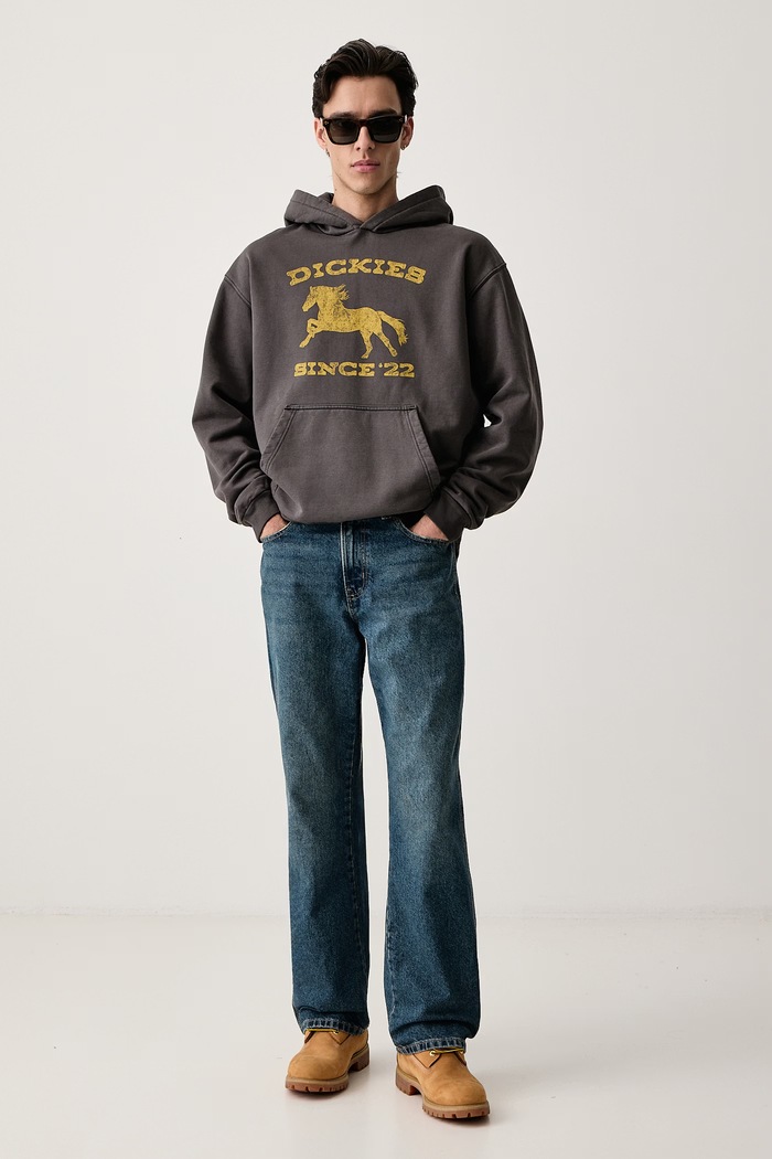 Dickies Bluza z kapturem męska z bawełną DK0A8CHYBLK1 szary AW26