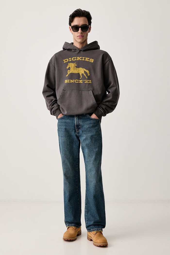 Dickies Bluza z kapturem męska z bawełną DK0A8CHYBLK1 szary AW26
