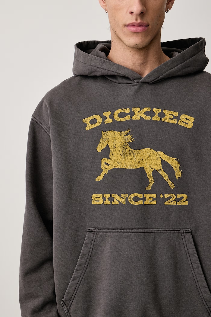 Bluza z kapturem męska z bawełną Dickies DK0A8CHYBLK1 szary