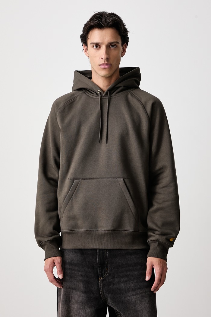 Carhartt WIP Chase hoodie with cotton Men's green I033661.3X9XX