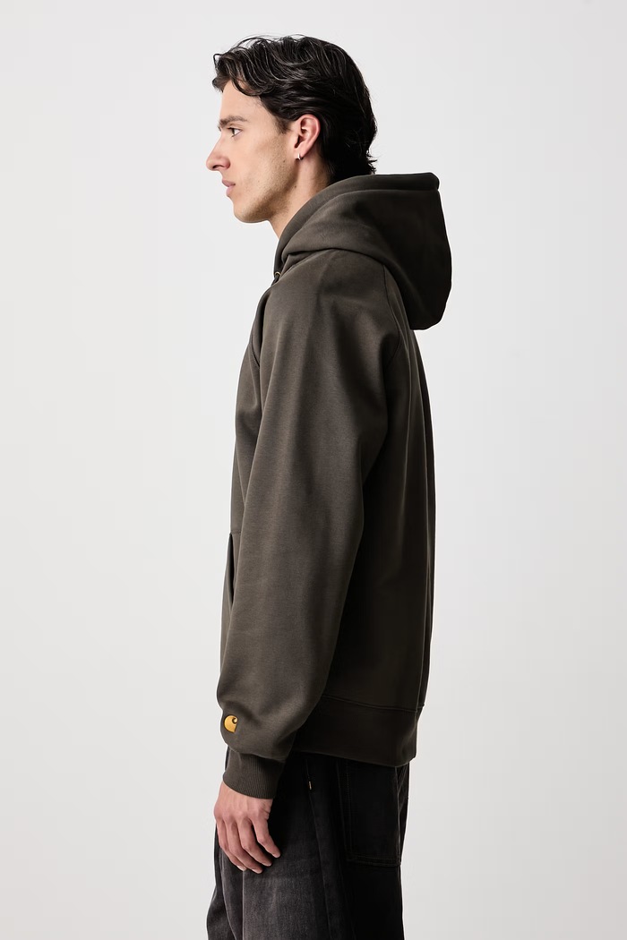 Chase hoodie with cotton Men's Carhartt WIP I033661.3X9XX green