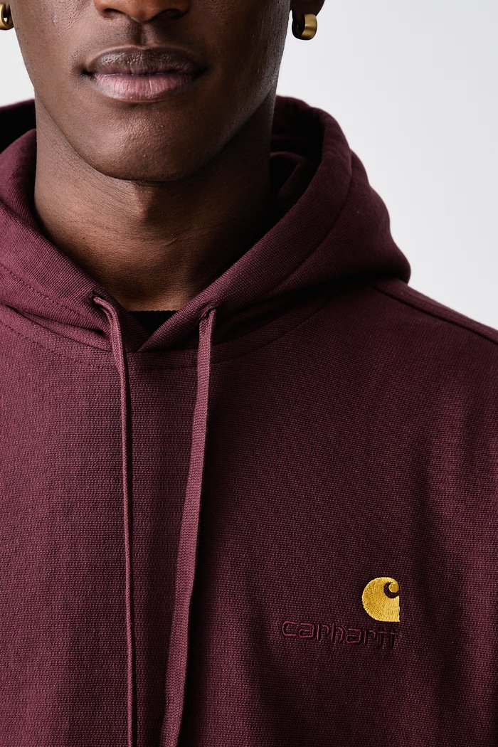 Carhartt WIP American Script hoodie with cotton Men's I028279.826XX