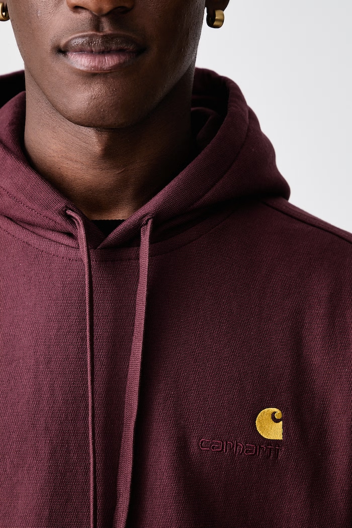 Carhartt WIP American Script hoodie with cotton Men's I028279.826XX