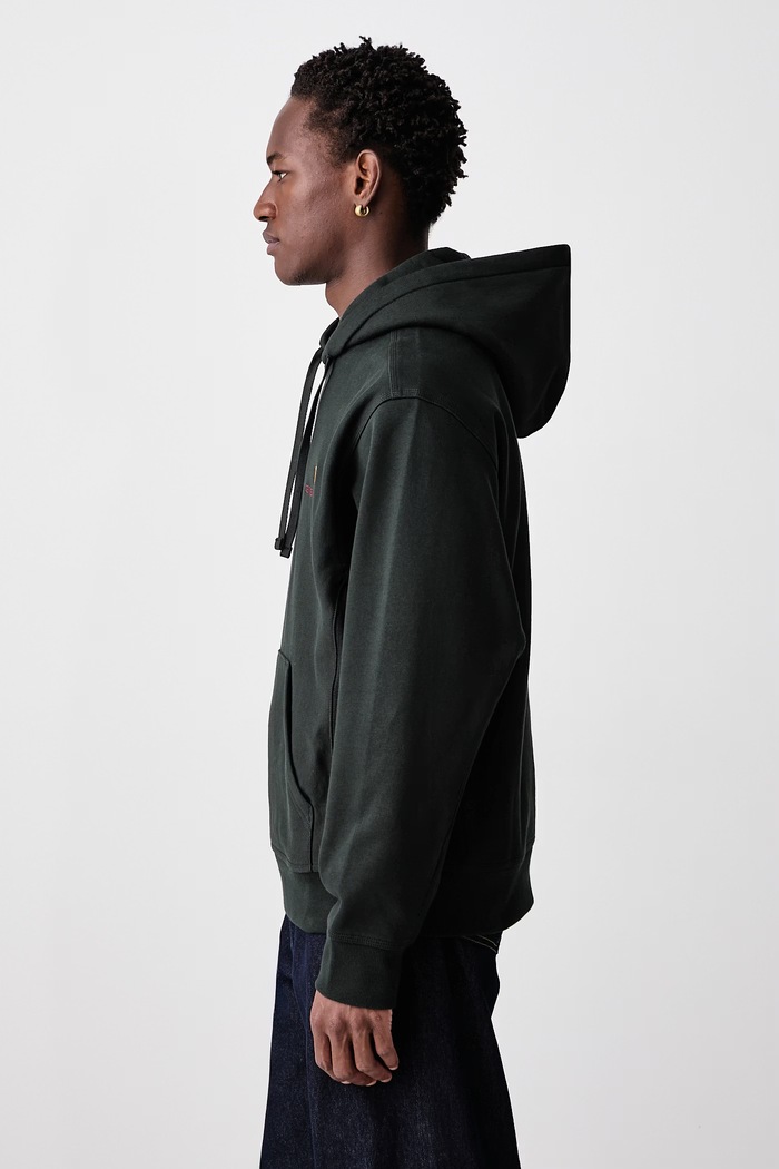 American Script bluza z kapturem z bawełną męska Carhartt WIP I028279.3T6XX zielony