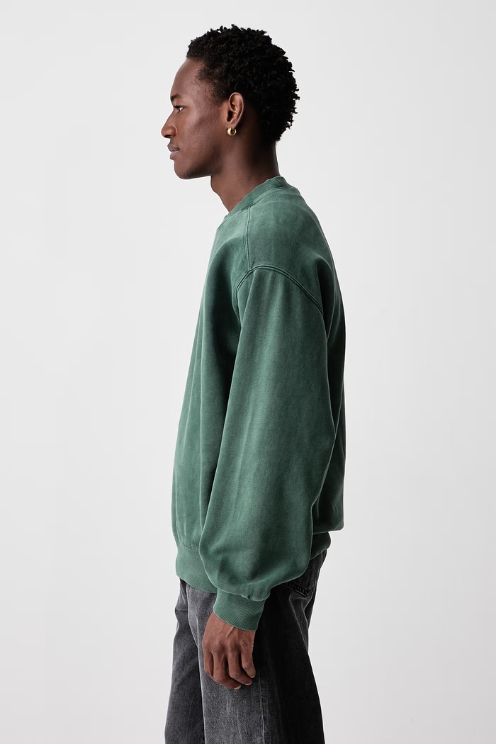 Vista hanorac din bumbac pentru bărbați Carhartt WIP I029522.3U0GD verde
