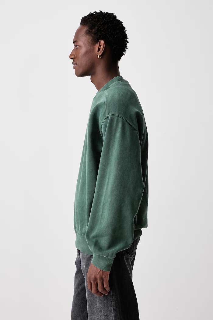Vista hanorac din bumbac pentru bărbați Carhartt WIP I029522.3U0GD verde