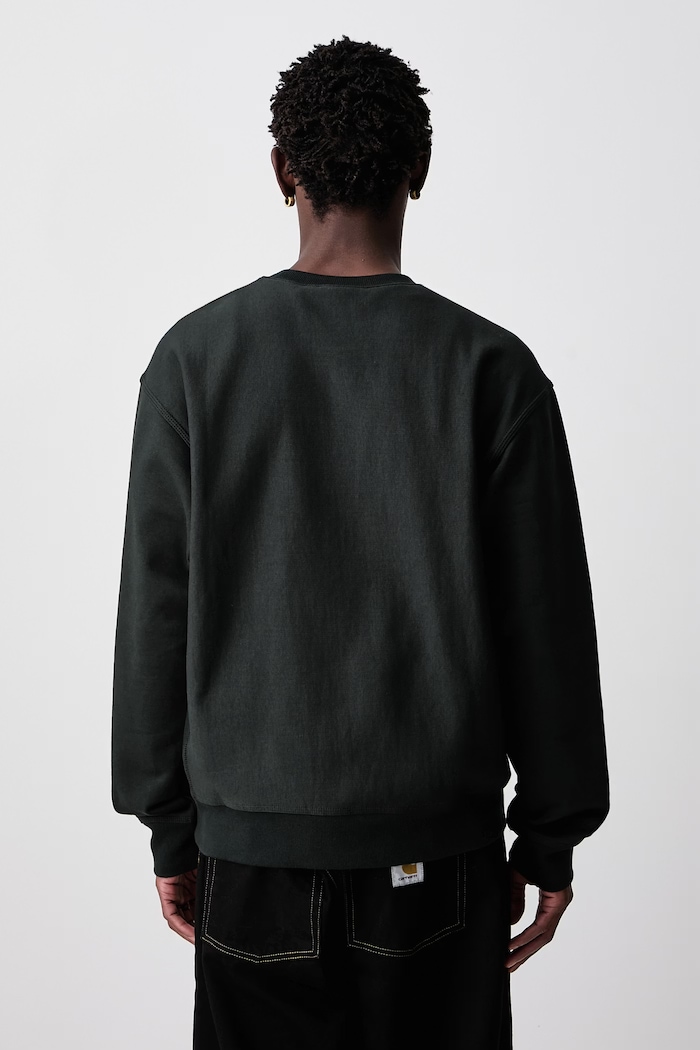 Îmbrăcăminte Carhartt WIP American Script hanorac cu bumbac pentru bărbați I025475.3T6XX verde