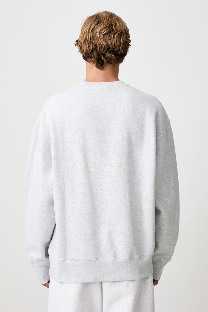 Abbigliamento Carhartt WIP 1989 Winners Sweat felpa in cotone da uomo I037278 grigio