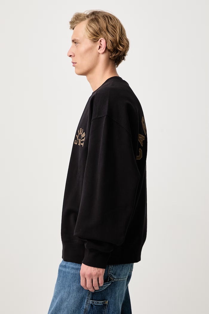 Arch Script Sweat sweatshirt with cotton Men's Carhartt WIP I037266 black