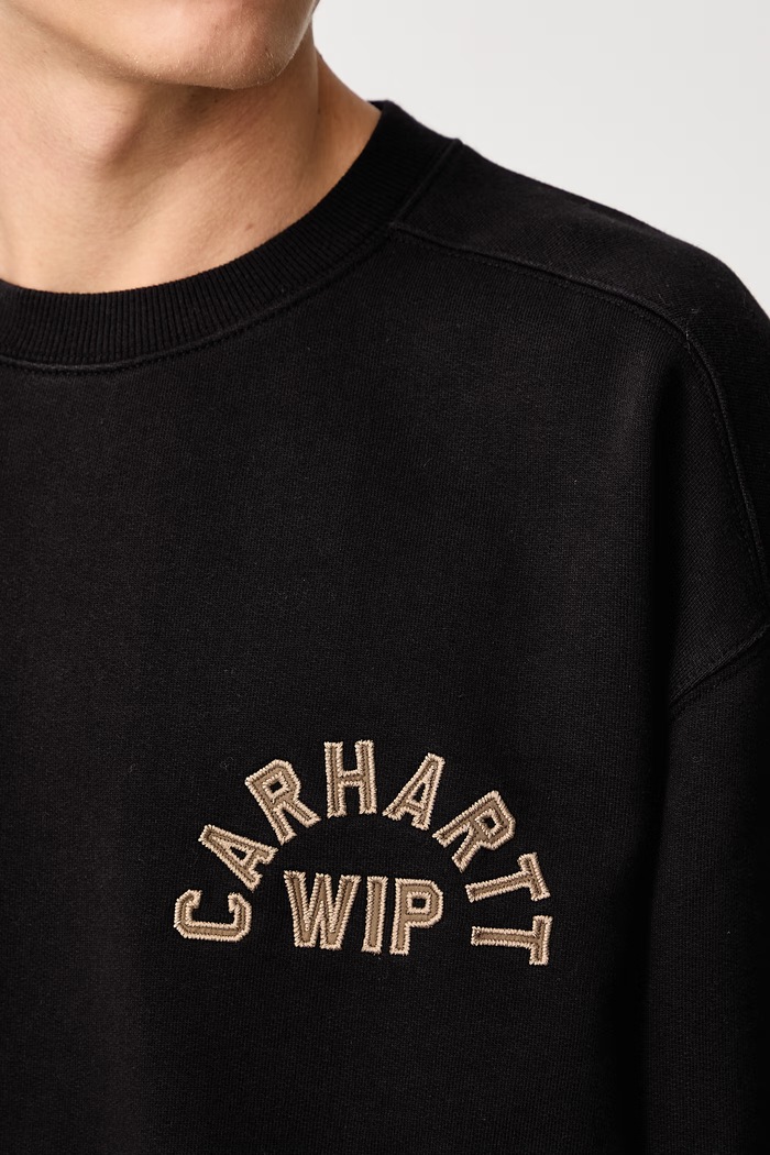 Carhartt WIP Arch Script Sweat sweatshirt with cotton Men's I037266