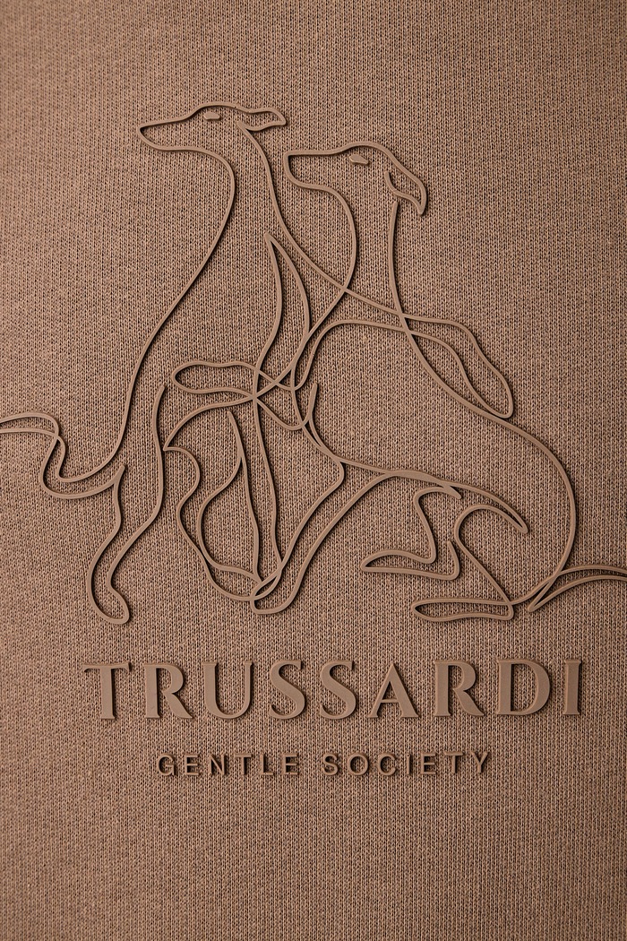 Bluza z kapturem męska bawełniana Trussardi brązowy G8518000261N