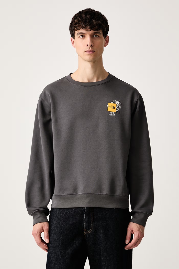 Odjeća The North Face Dukserica za muškarce s pamukom Gear up Relaxed NF0A8JB5RHI1 siva