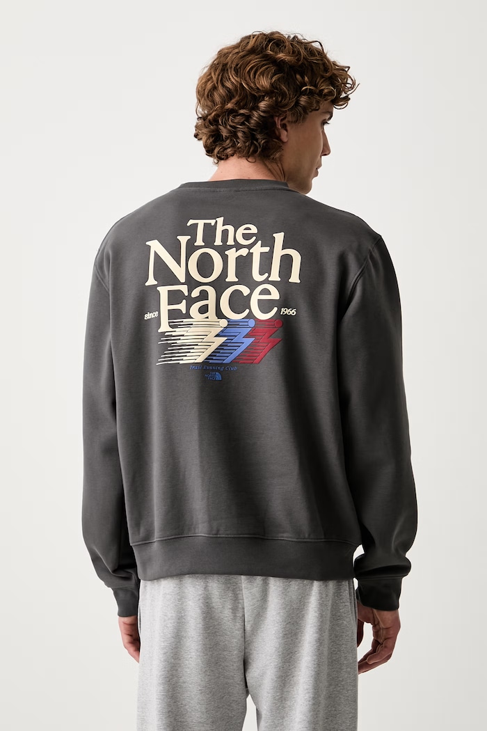 Abbigliamento The North Face felpa da uomo Retro NF0A8JAFRHI1 grigio