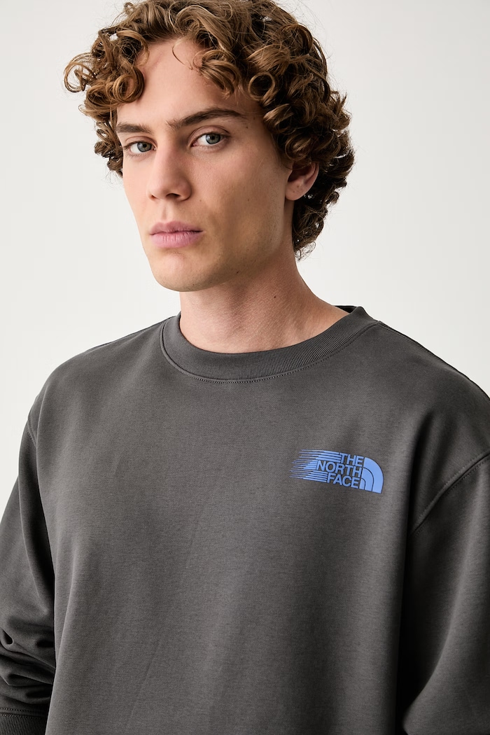 The North Face felpa da uomo Retro grigio NF0A8JAFRHI1