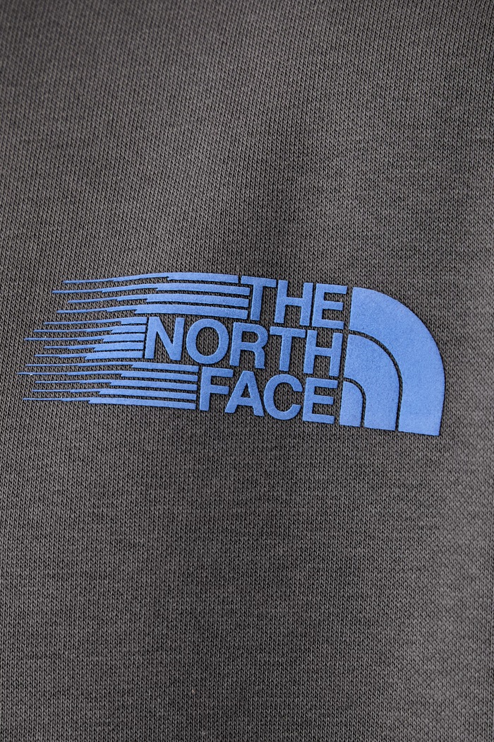 The North Face felpa da uomo Retro NF0A8JAFRHI1 grigio