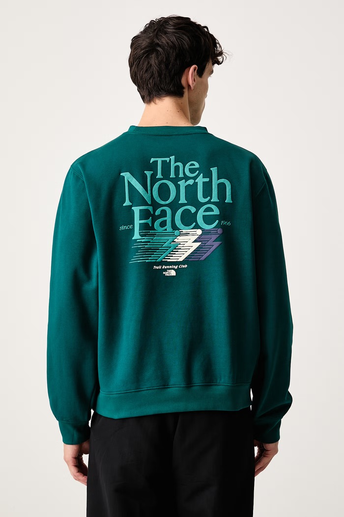 The North Face Bluza męska z bawełną Retro zielony NF0A8JAFN4J1