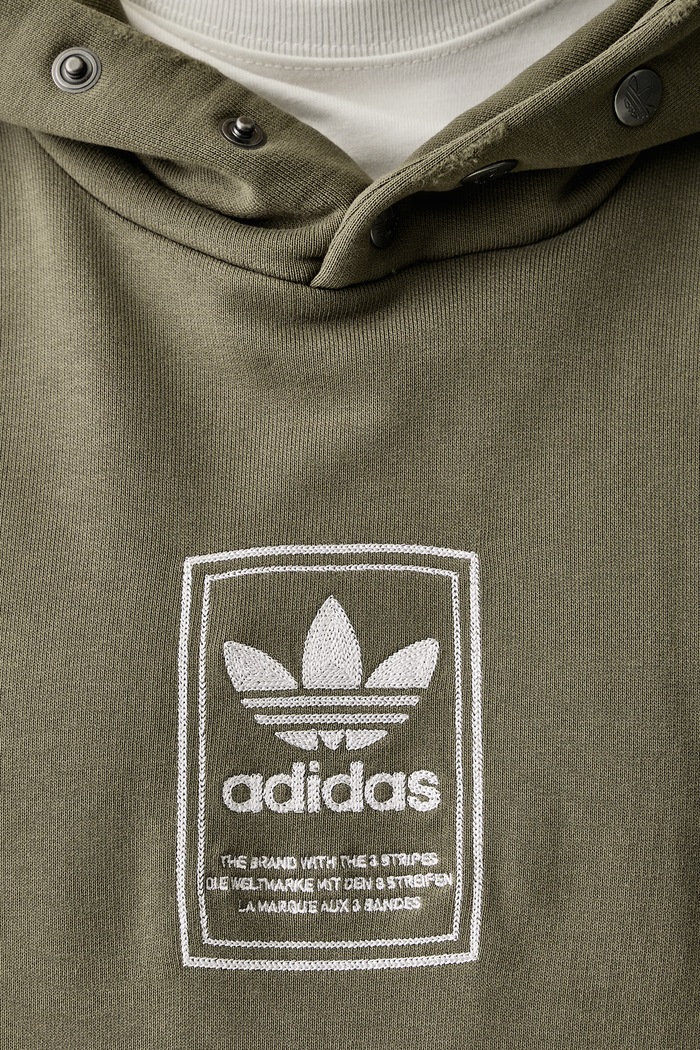 Bluza z kapturem męska bawełniana Elevated GFX adidas Originals zielony KW4403