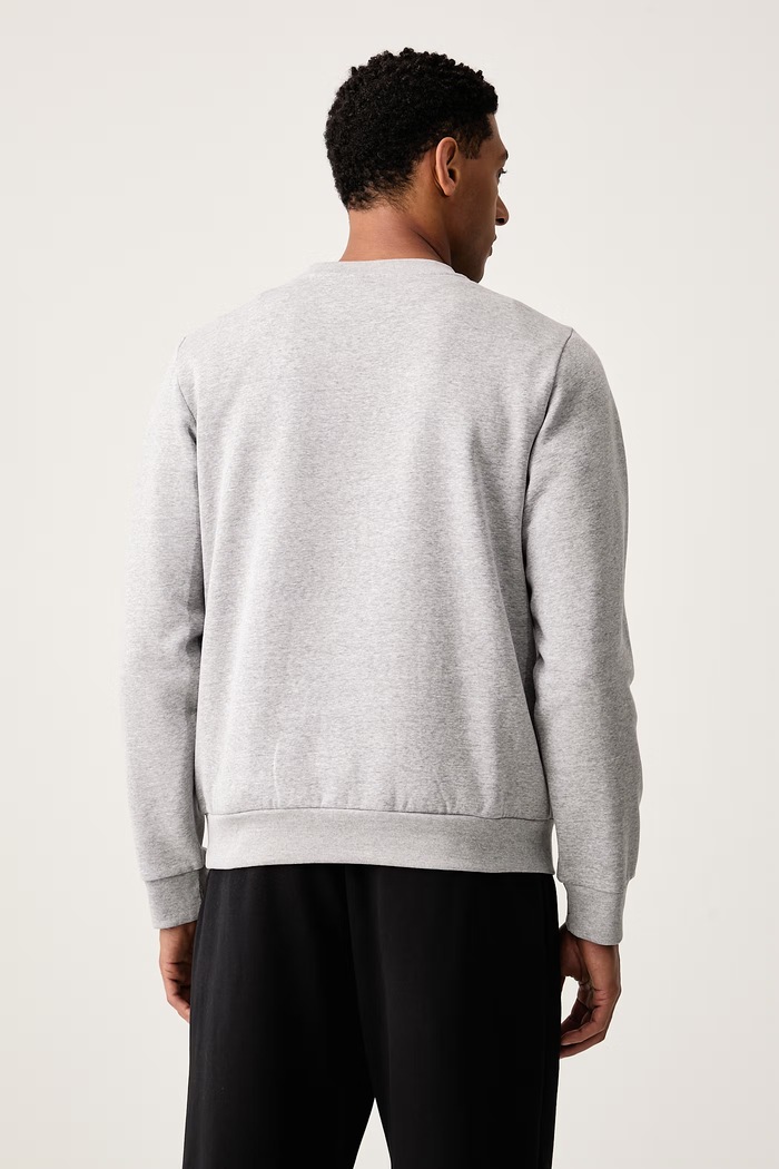 Ρούχα The North Face Μπλούζα ανδρική με βαμβάκι Evolution NF0A8D60CQO1 γκρί