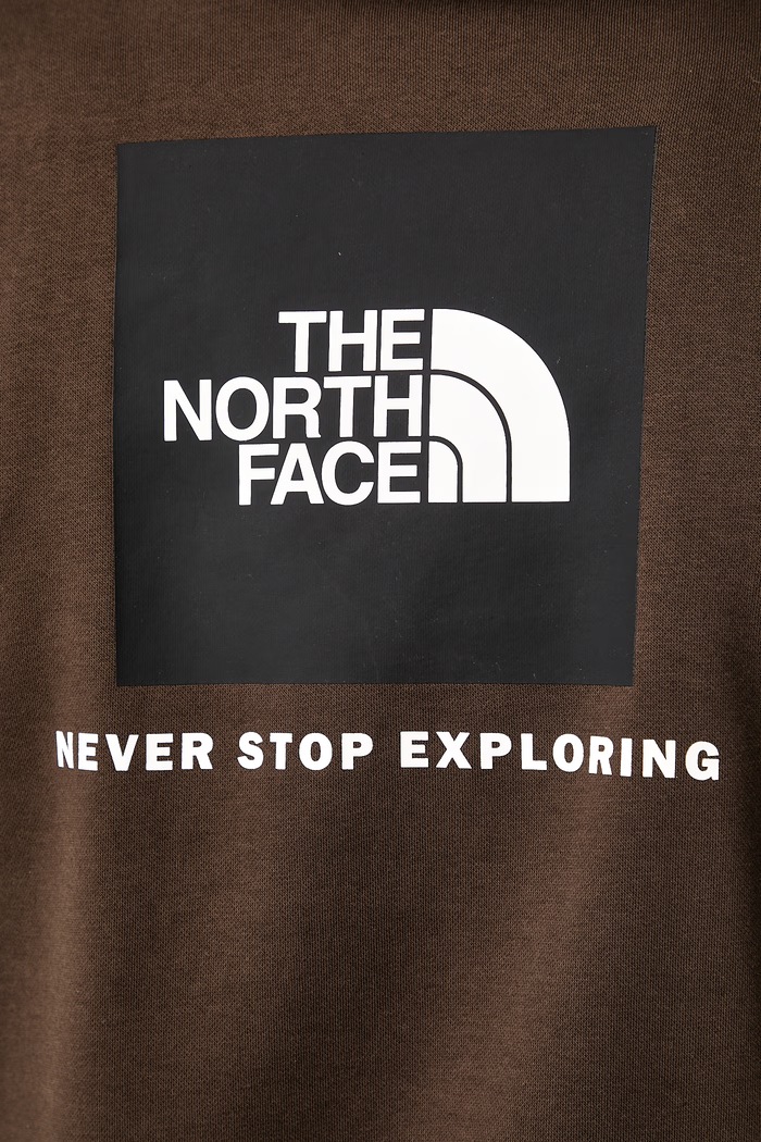 Μπλούζα με κουκούλα ανδρική με βαμβάκι Evolution The North Face καφέ NF0A8CWPNMF1