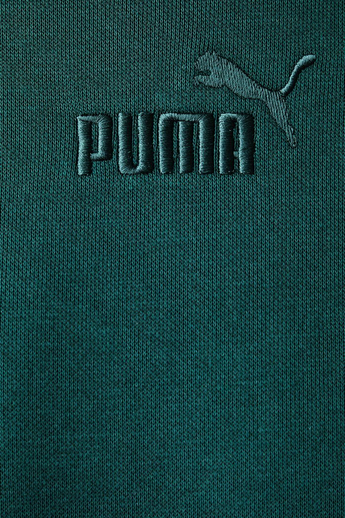 Bluza z kapturem męska z bawełną Essentials Puma zielony 692914.M