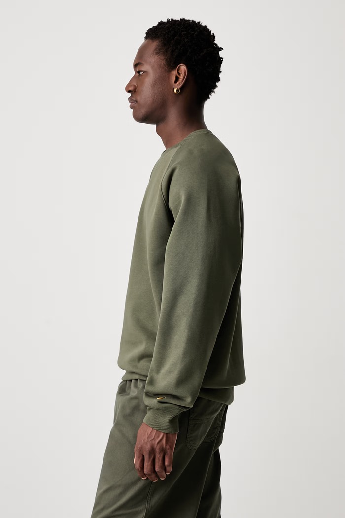 Carhartt WIP Chase Sweat кофта з бавовною чоловіча I033660 зелений AW26