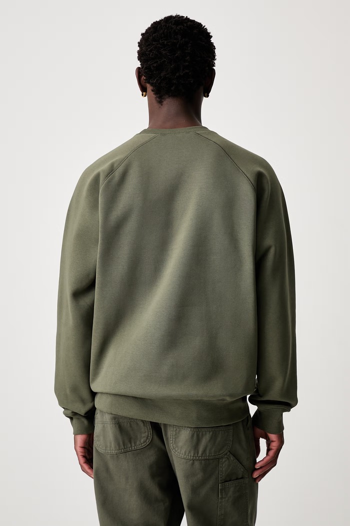 Одяг Carhartt WIP Chase Sweat кофта з бавовною чоловіча I033660 зелений