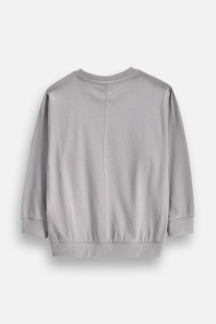 Coccodrillo Longsleeve dziecięcy bawełniany ZC6143104WBK szary AW26