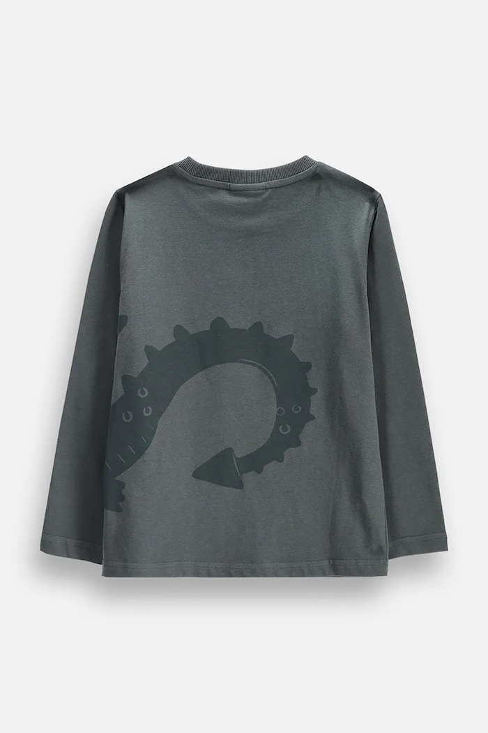 Coccodrillo Longsleeve dziecięcy bawełniany ZC6143101RBK szary AW26