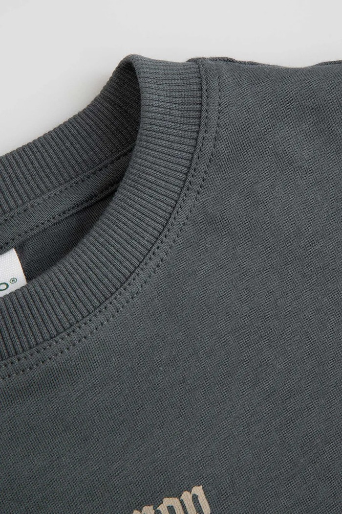 Chłopiec Coccodrillo Longsleeve dziecięcy bawełniany ZC6143101RBK szary