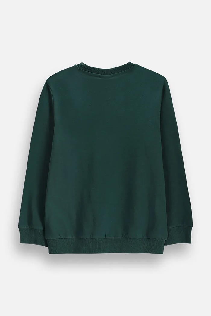 Coccodrillo tričko s dlouhým rukávem dětské bavlněné ZC6143101VBA zelená AW26