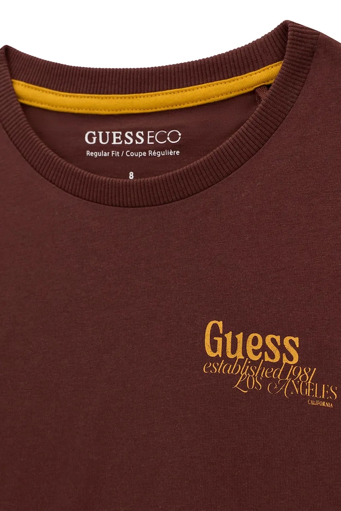 Chłopiec Guess Longsleeve dziecięcy bawełniany L6BI19.K5745.9BY2 brązowy