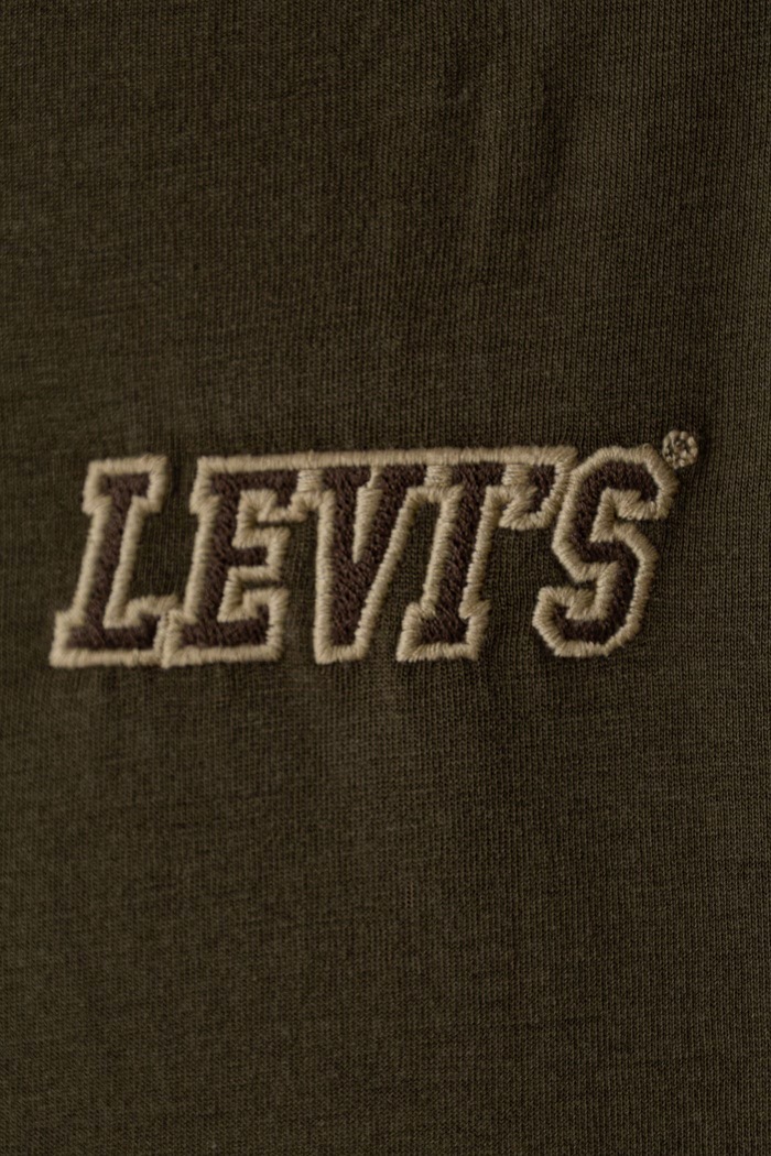 Chłopiec Levi's Longsleeve dziecięcy z bawełną IN THE WOODS TEE 8ER448 zielony