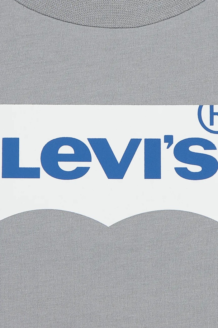Chłopiec Levi's longsleeve dziecięcy bawełniany BATWING TEE 9E8646 szary