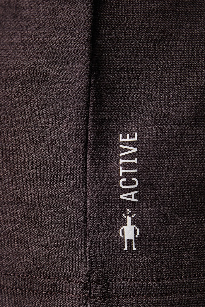 Longsleeve męski z wełną merino Smartwool brązowy SW003170P851